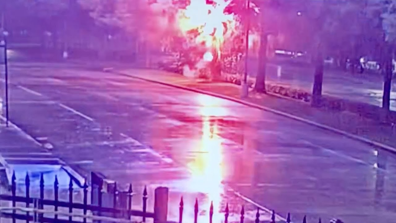 Este video muestra cómo un rayo tumbó un árbol en el área de Houston