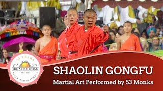 Shaolin Gongfu - Martial Art, China | World Culture Festival 2016