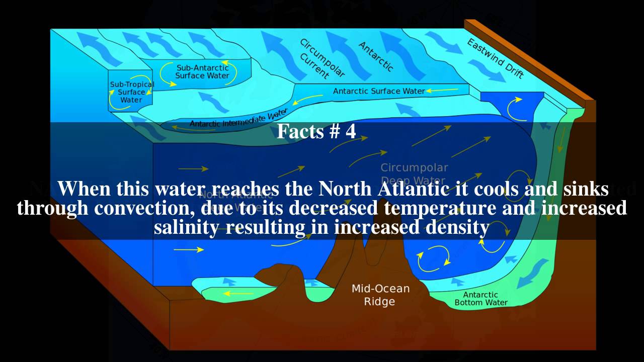 North Atlantic Deep Water Top # 9 Facts - YouTube