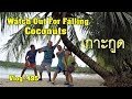 Koh Kood Watch Out For Falling Coconuts เกาะกูด