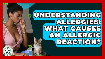 Understanding Allergies: What Causes An Allergic Reaction? - Allergy Relief Guide