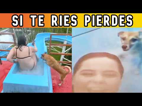 Things you didn't expect but will make you laugh out loud 😂🎥