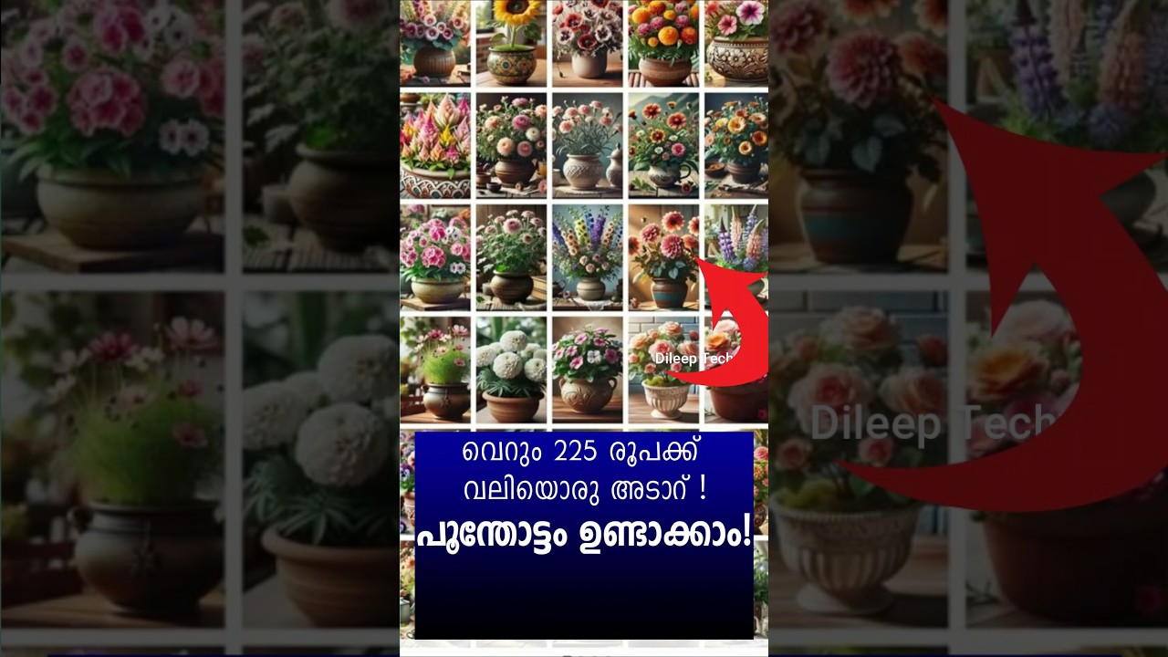 225 രൂപക്ക് ഒരു വലിയ പൂന്തോട്ടം 