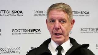 CCTV in Scottish abattoirs - SSPCA Chief Superintendent