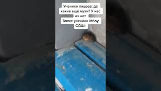 МБОУ СОШ: