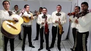 Video thumbnail of "Disculpe Usted - Mariachi Nuevo Rincon"