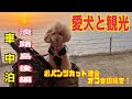 淡路島後編 おパンツカット連合オフ会後　#おパンツカット