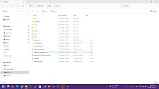 XAMPP Project Manager: Effortless Local Development and Backup Tool in C#