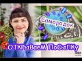 САМОРОДОК ОТКРЫВАЕМ ПОСЫЛКУ