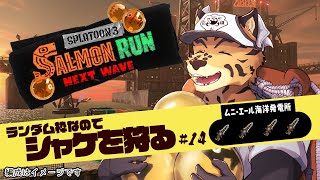 【サーモンランNW/参加型/ムニエール/＃14】春だ！クマワイパー！！その２【樫城槌/Vtuber】