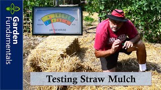 How Good is Straw Mulch For Retaining Moisture 😱💖☔️ These Test Results Will Surprise You