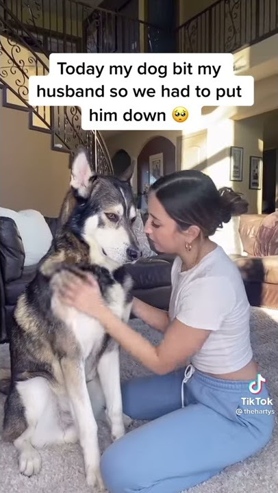 Funny vague pronoun video