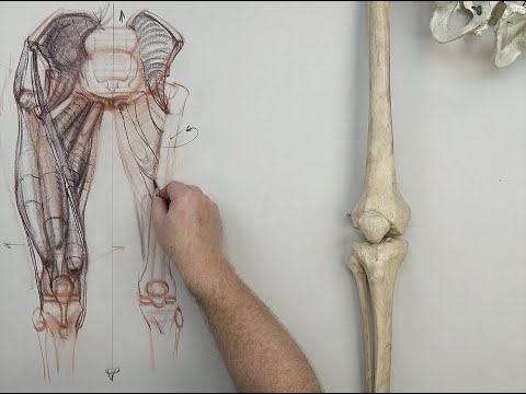 Video: Drawing Bodies 101 - Artistic Anatomy And Drawing The Leg