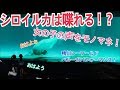 【シロイルカが水中マイクでモノマネ！】 鴨川シーワールド ベルーガショー  White dolphin show