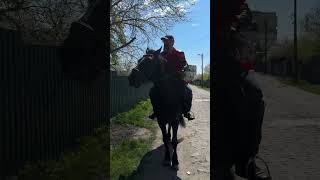 a8bf5ccd933c4ae1b3e12784de2427b3.MOV