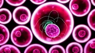 Björk - Virus (Biophilia App Music Video)