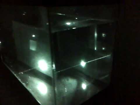 Testing the Green Diffraction Constant of Water