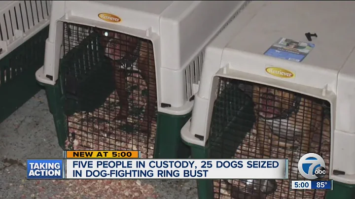 Michigan State Police seize 25 dogs,drugs & equipment during two dog fighting raids