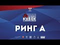 Кубок Никифорова-Денисова 2019: ФИНАЛ