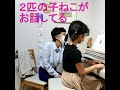 オーディションの曲初めて弾きました　はしもとじゅんこピアノ教室