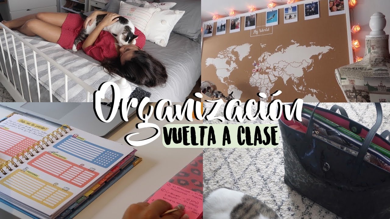 5 COSAS PARA PREPARAR LA VUELTA A CLASE I Organización Universidad