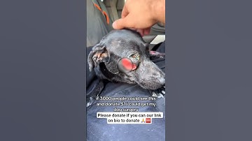 Ways to donate to:🆘️🆘️🆘️🆘️😭😭😭ALL DONATIONS ARE ACCEPTED THROUGH PAYPAL LINK IN THE BIO