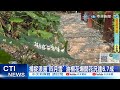 【每日必看】捕捉浪漫&quot;四月雪&quot; 油桐花爆開花況達6.7成 20240413