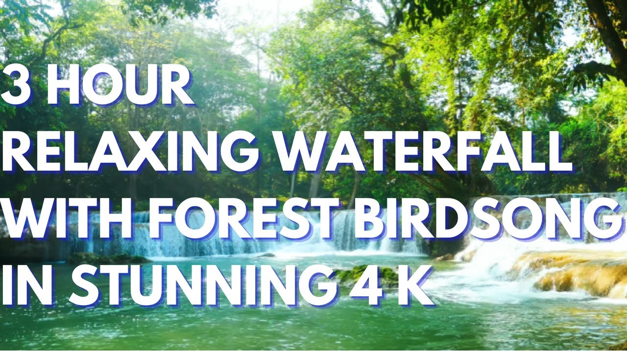 3 Hour Relaxing Waterfall Sound with Forest Birdsong - 4k for Sleep ...