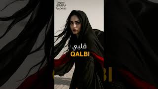 QALBI | قلبي - Romantic Arabic x English Techno House Mix