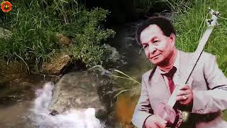 картинка: Таваккал Қодиров ижро этган қўшиқлардан этиборингизга 