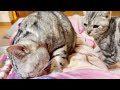 不整脈の夜にみんなが寄り添ってくれて思ったこと。