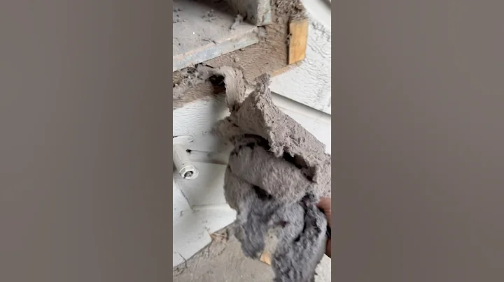 Commercial Dryer Duct Cleaning- 30 years of Lint 🔥🤩 #asmr