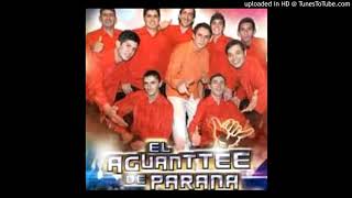 Video thumbnail of "El aguante de parana noche de imnsomio- Remix dj vz"