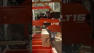Pt3 sawing 2nd board from a nice poplar 4/15/23