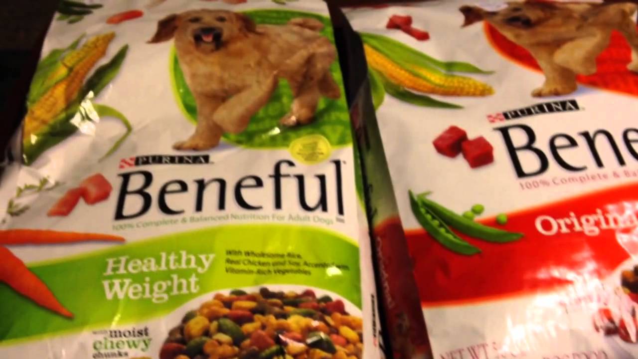 Extreme Couponing on Dog Food Rite Aid YouTube