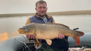 рыбалка на подъёмник огромный сазан