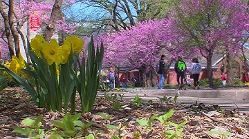 Postcard from Campus: Spring has Sprung
