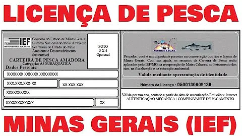 Como imprimir carteira de pesca IEF?