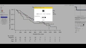 Full Example of Hazard Ratio Calculation from Kaplan-Meier Survival Curve