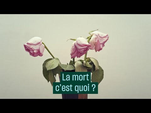 Vidéo: Qu'est-ce que la mort pré-active ?