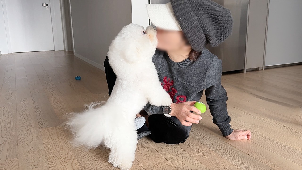 할머니 집에만 오면 벌어지는 일… 집에 가기 싫어서 숨는 강아지