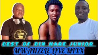 MWANZELE BIN HARE JUNIOR LATEST LIVE MIXX Sub like share