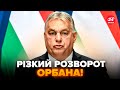 ⚡️Всі НА ВУХАХ! Орбан вийшов З ДИКИМ РІШЕННЯМ по Україні! Звернення ШОКУВАЛО всю ЄС