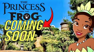 The Final Touches: Last Update- Princess Tiana’s Bayou Adventure