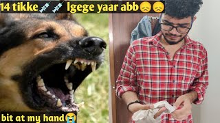 Stray Dog Attacked Me And Nobody Savedrabbies Ke Injection Lgvane Padege Jashan Verma