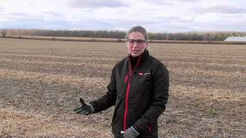 Best Time for Soil Sampling – Holly Loucas | Dow Seeds