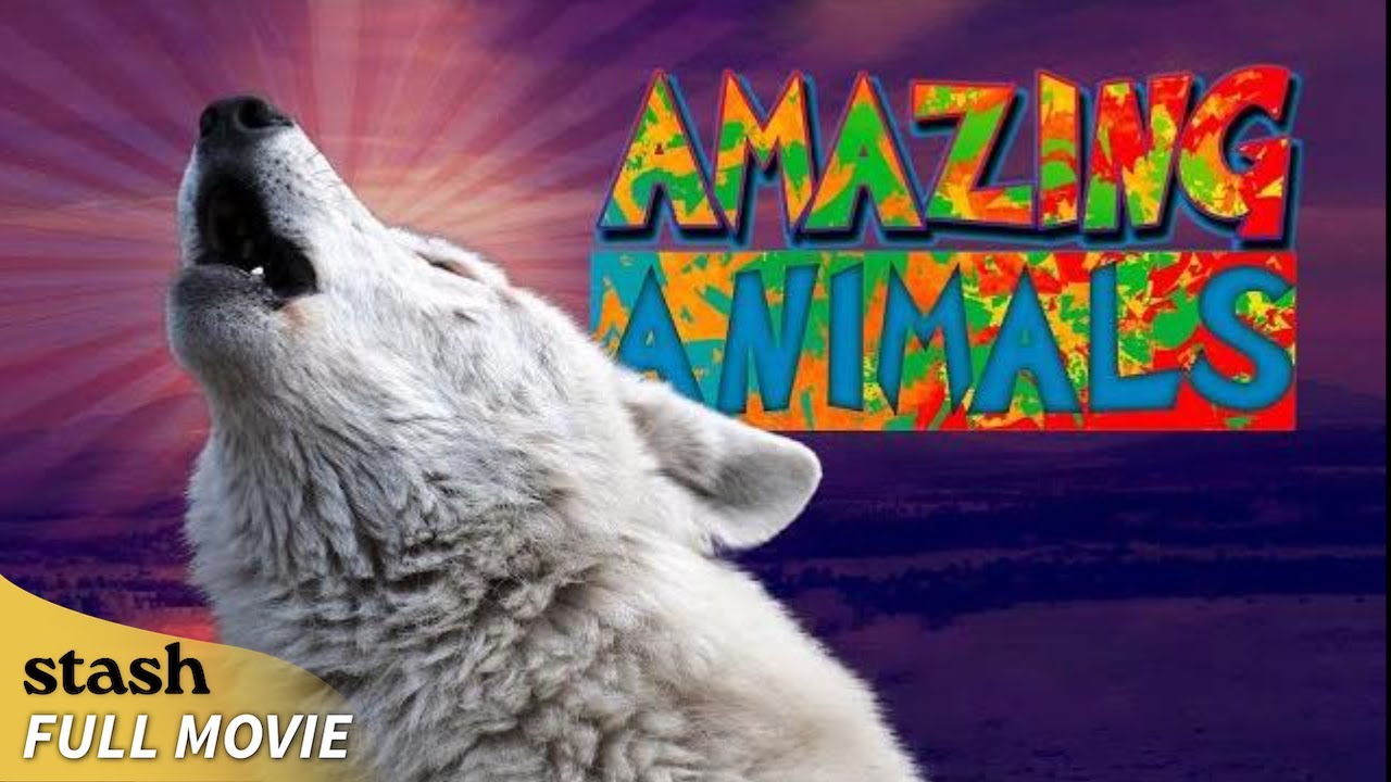 Amazing Animals (2025)