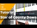 Star of county down  grade 1 electronic keyboard trinity exam 2019 2022