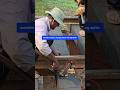 new wooden sleeper, hamer hit dog spike set | #sorts #railway #safety #work #bangladeshrailway