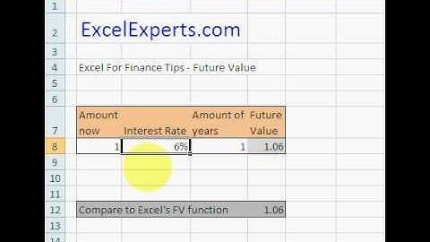 ExcelExperts.com - Excel For Finance Tips - Future Value
